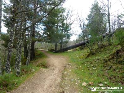 Cascadas Purgatorio,Bosque Finlandia; grupo de senderismo; grupos de montaña madrid